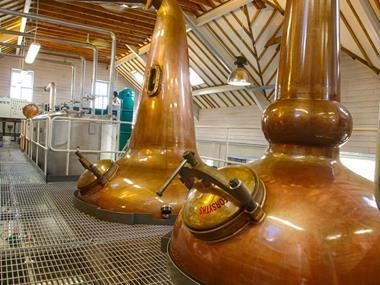 Ex-CEO of Cadbury Schweppes joins The Cotswolds Distillery